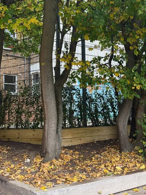 WhatsApp Image 2025-10-16 at 15.17.33-2.jpeg