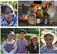 A Bountiful Harvest - The Thomas Jones Harvest Festival