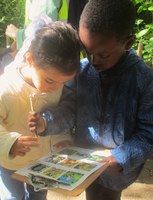 Holland Park Ecology Centre Trip
