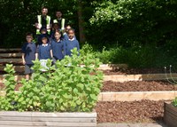 KS1 Planters