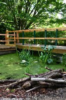 Nature Garden Re-Vamp