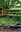 Nature Garden Re-Vamp