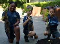 One Potato, Two Potato...