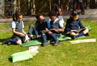 Reading in the Sunshine