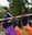 Sports Day