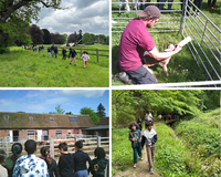 Waltham Place Farm